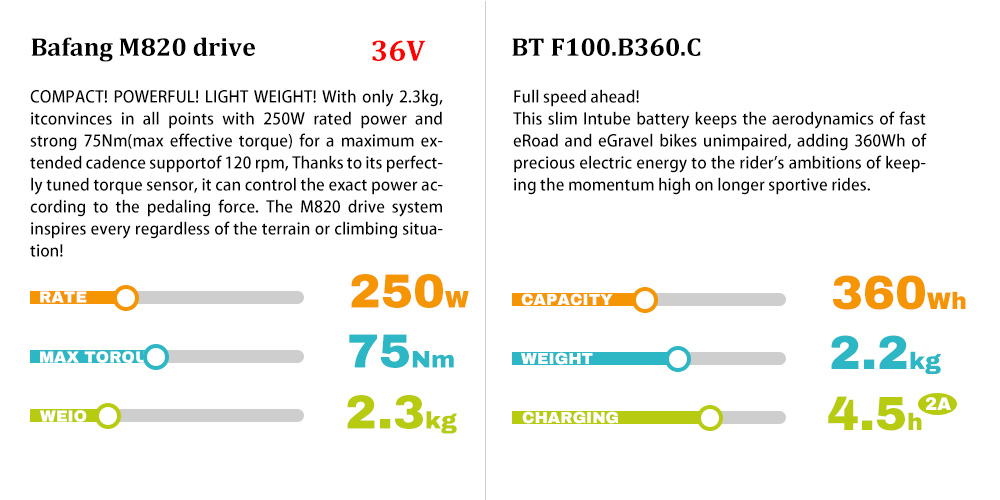 Suitable Bafang M820 Motor And BT F100 Battery 